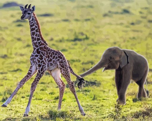 Baby Elephant And Giraffee paint by number
