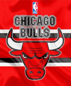 Basketball Logo Bulls paint by number