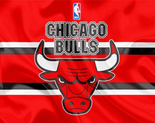 Basketball Logo Bulls paint by number