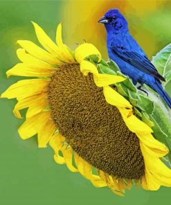 Beautiful Sunflower And Blue Bird paint by number