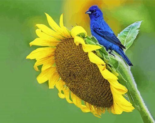 Beautiful Sunflower And Blue Bird paint by number