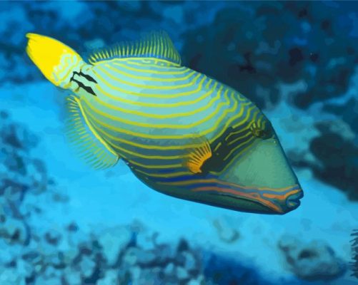 Beautiful Triggerfish paint by number