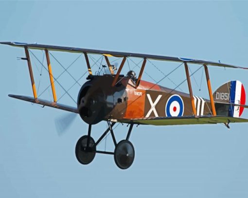 Bi Plane paint by number