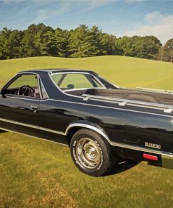 Black Elcamino paint by number