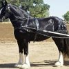 Black And White English Plow Horse paint by number