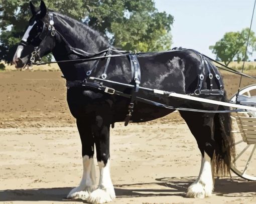 Black And White English Plow Horse paint by number