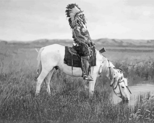 Black And White Indian With Horse paint by number