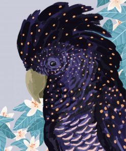 Black Cockatoo Illustration paint by number