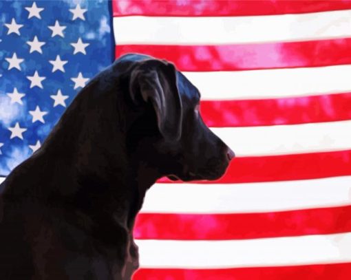 Black Lab Dog With Flag paint by number