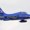 Blue Hawker Hunter paint by number