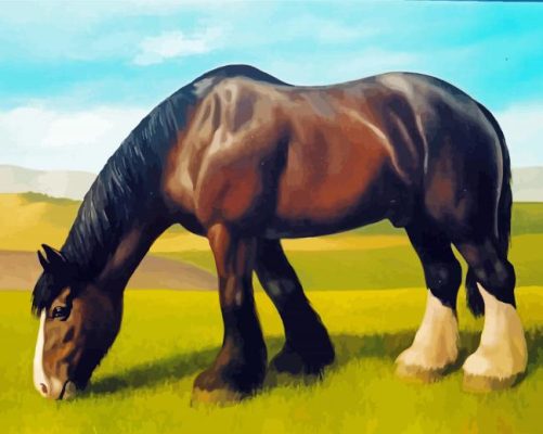 Brown Shire Horse paint by number