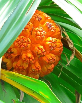 Close Up Pandanus Fruit paint by number