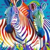 Colorful Zebras paint by number