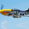 Cool Warbird paint by number