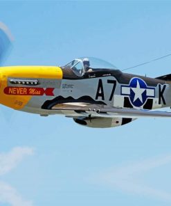 Cool Warbird paint by number