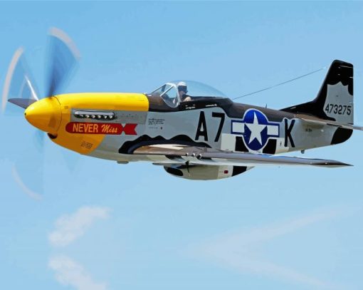 Cool Warbird paint by number