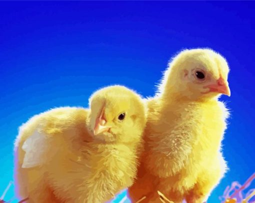 Cute Baby Chickens paint by number