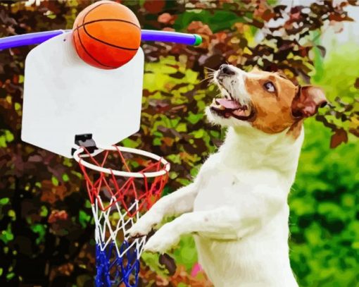 Dog Playing Sport paint by number
