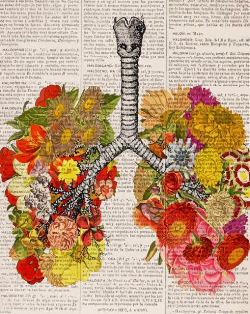 Floral Anatomy Illustrations paint by number
