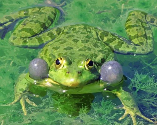 Green Marsh Frog paint by number