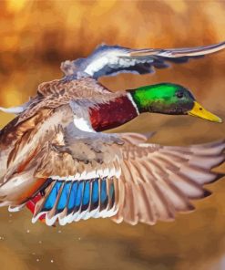Incoming Mallards Paint by number