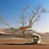 Lonely Desert Tree paint by number