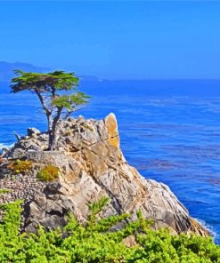 Monterey Tree Seascape paint by number
