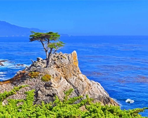 Monterey Tree Seascape paint by number