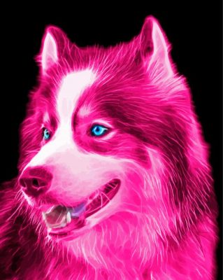 Pink Dog Art paint by number