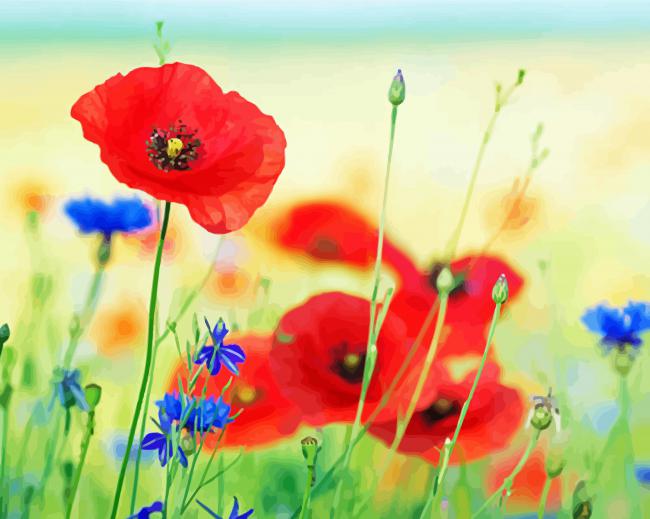 Red Poppies And Blue Cornflowers paint by number
