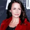 The Actress Kristin Davis paint by number