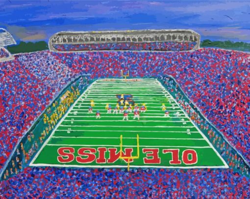 Vaught Hemingway Stadium Art paint by number