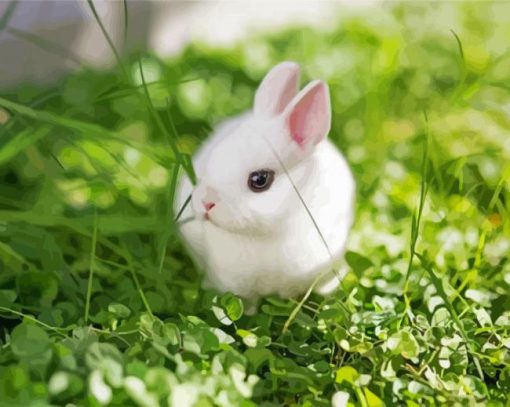 White Baby Rabbit paint by number