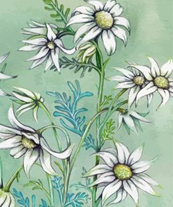 White Flannel Flowers Art paint by number
