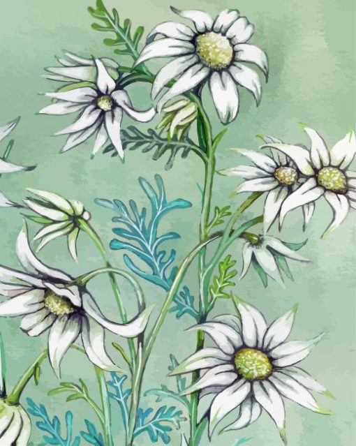 White Flannel Flowers Art paint by number