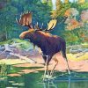 Beautiful Moose Illustration paint by number