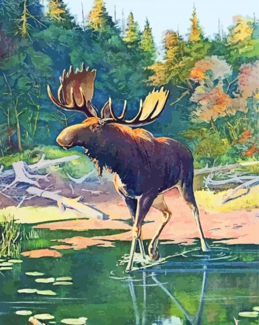 Beautiful Moose Illustration paint by number