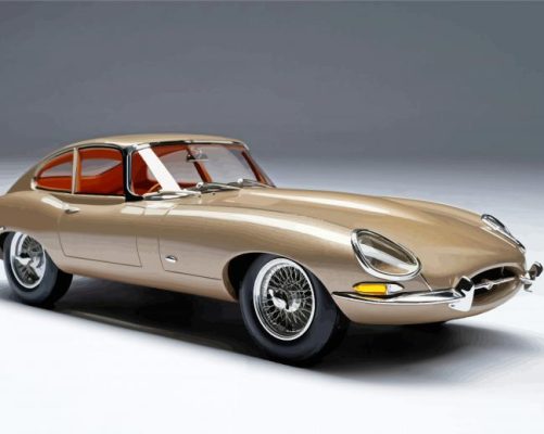 Beige Jaguar Type 1 paint by number