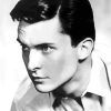 Black And White Jeremy Brett paint by number