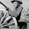 Black And White Jimmy Stewart Cowboy paint by number