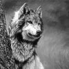 Black And White Wolf paint by number