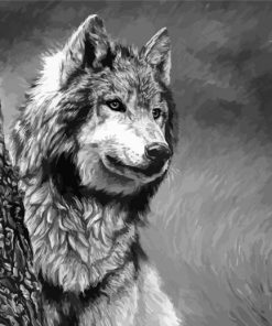 Black And White Wolf paint by number