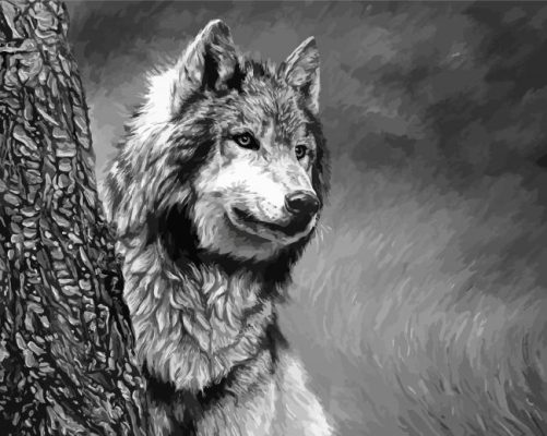 Black And White Wolf paint by number