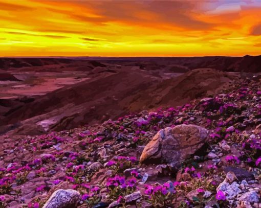 Blooming Desert Sunset paint by number