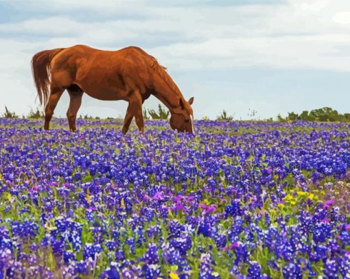 Bluebonnets And Brown Horse paint by number