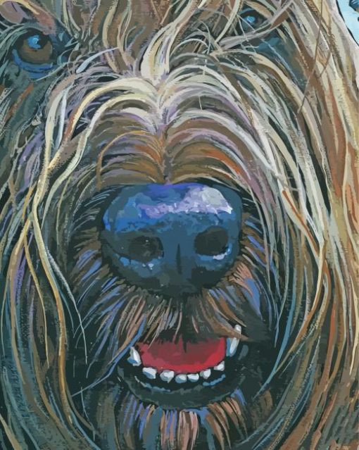 Briard Face Art paint by number