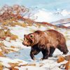 California Grizzly Bear Art paint by number