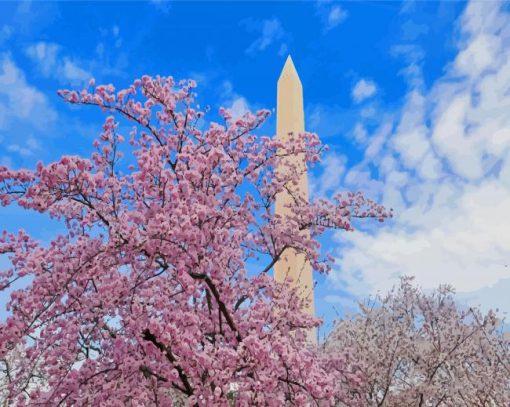 Cherry Blossoms Washington DC paint by number