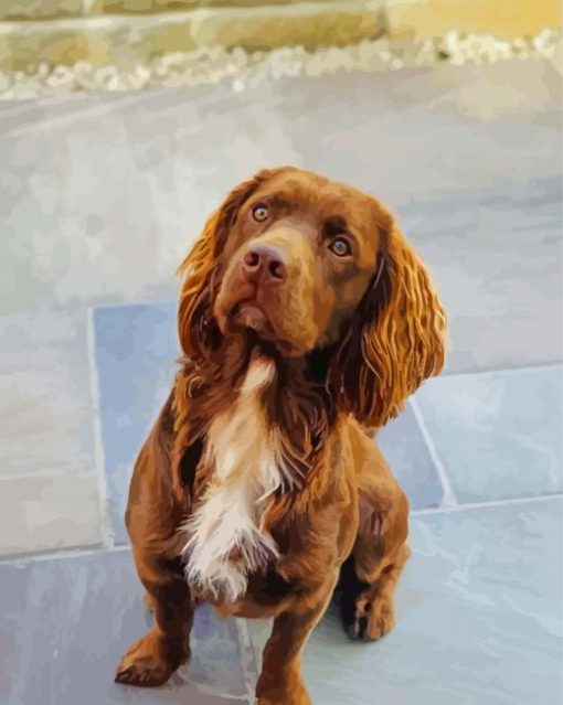 Cute Sprocker Dog paint by number