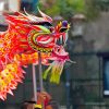 Dragon Dance paint by number